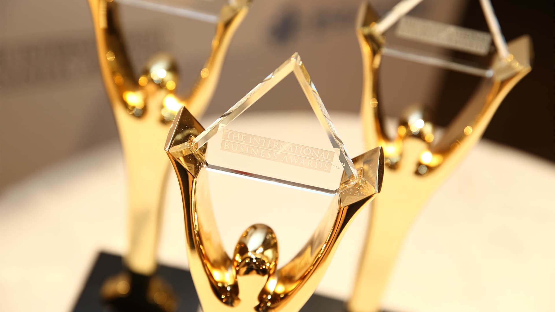 Gold Stevie Award copy