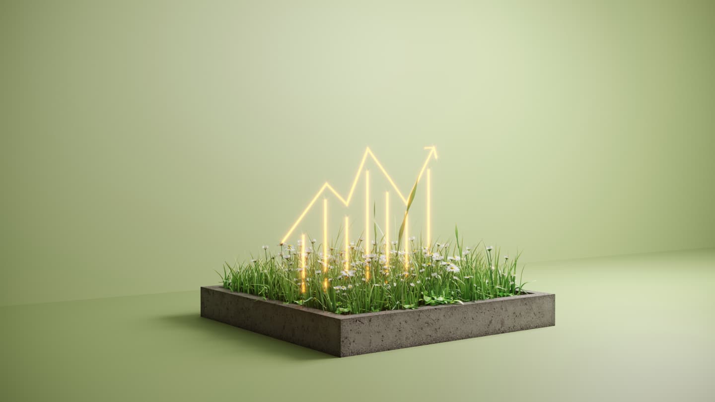 Sustainability