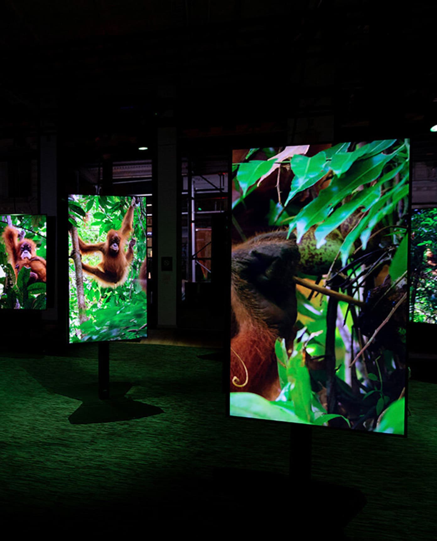 Dolby dolbysoho 696x862 image2 1 2x