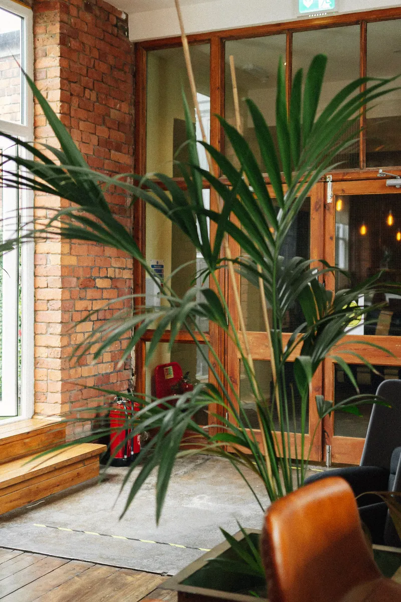 This is digital LOW RES 136