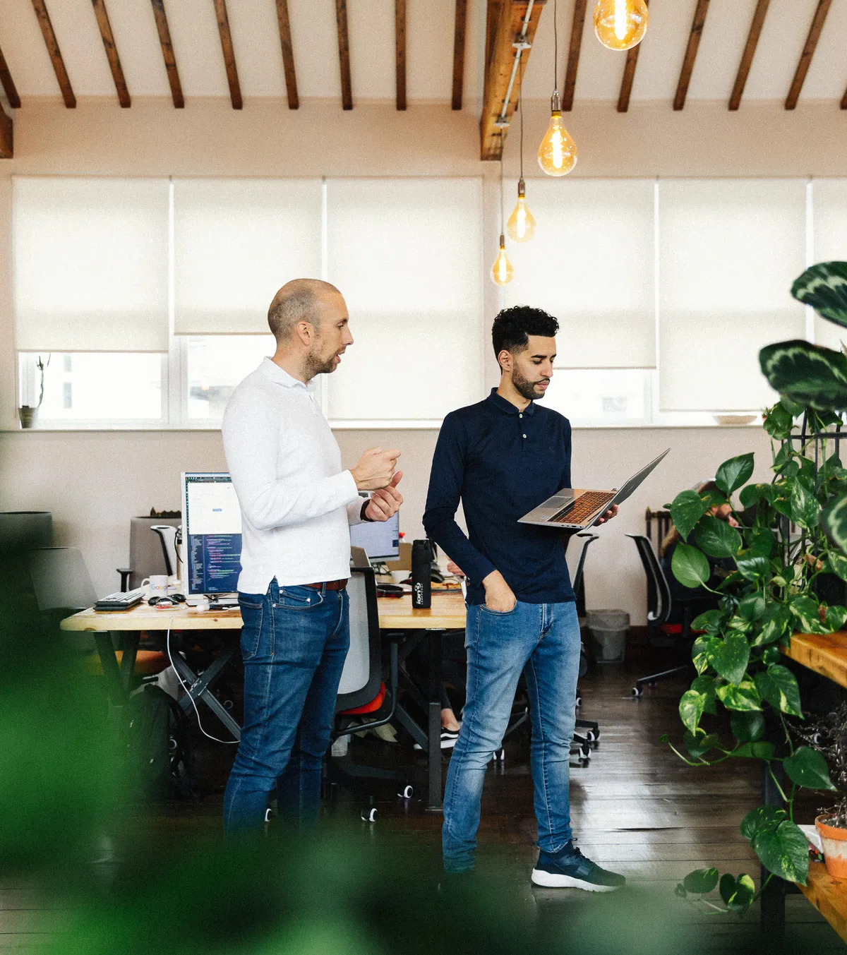 This is digital LOW RES 173