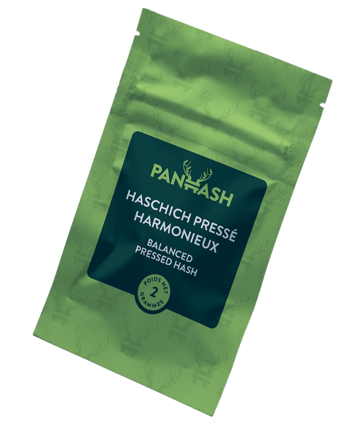 Panhash Haschich middleground