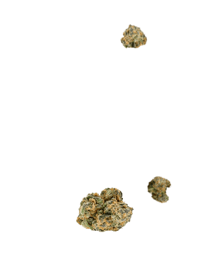 Panhash SS Floating Background