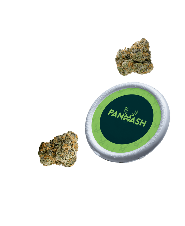 Panhash SS Floating Foreground