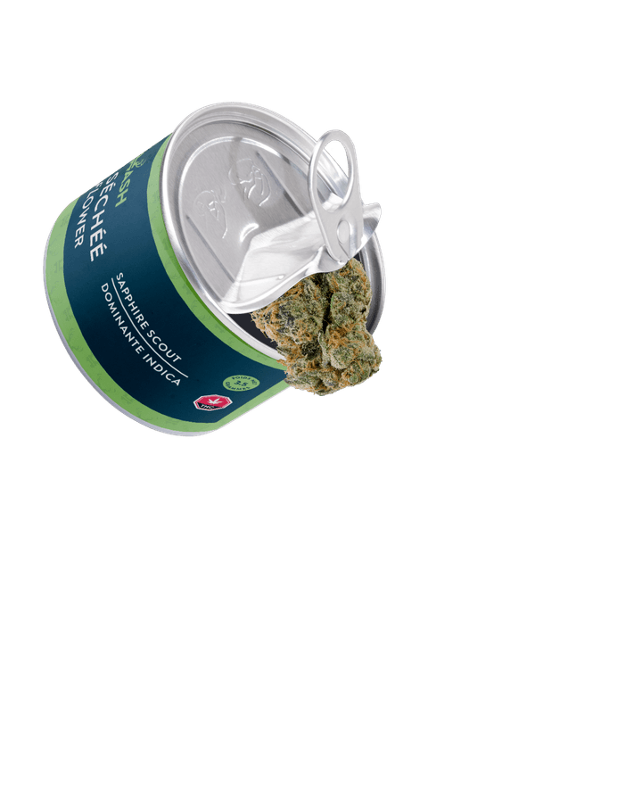 Panhash SS Floating Middle Ground