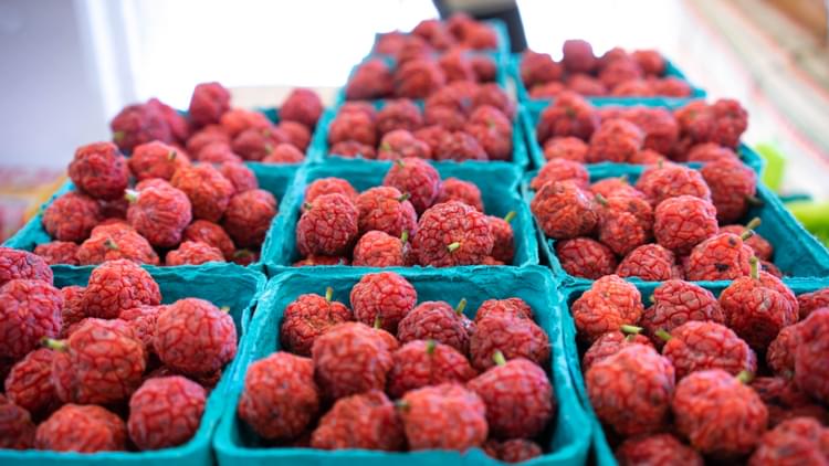 Raspberry / Raspberries at the farmers market
