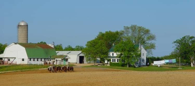 Amish Farm along Thompson's Corner Road Copyright © St. Mary's County Tourism