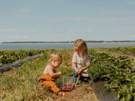Festivals & Events Calendar | St. Mary's County MD Tourism festivals-events-calendar-st-mary-s-county-md-tourism