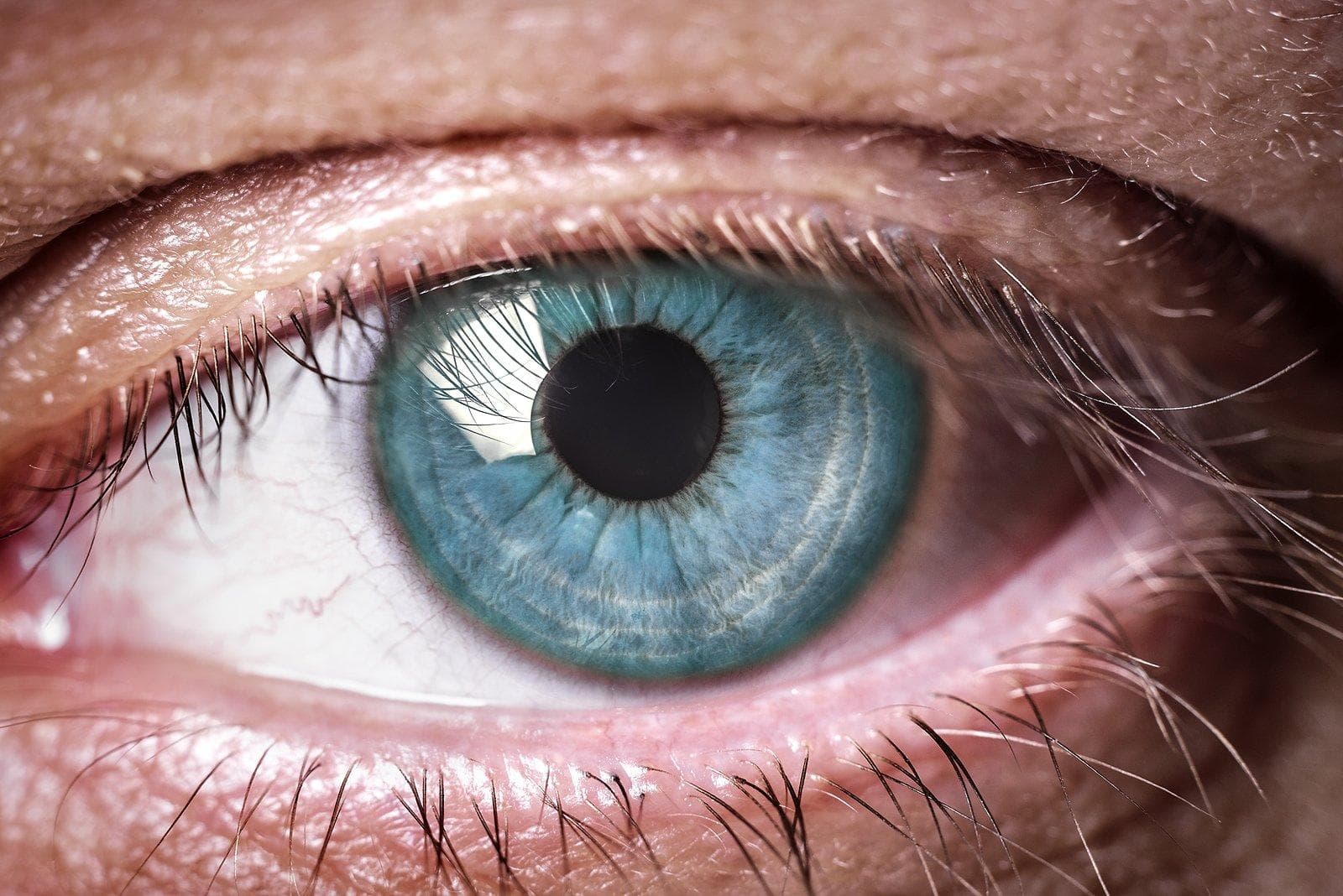 Bigstock Human eye 84036839 2