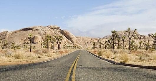 Joshua tree national park4374 530x276