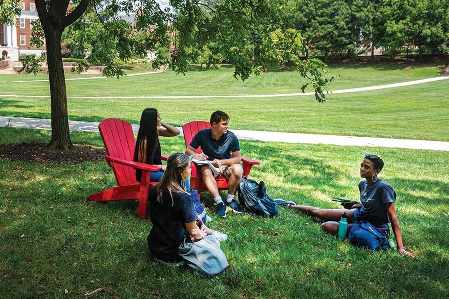 Four students sitting outside on the UMD Mall in the shade of a nearby tree