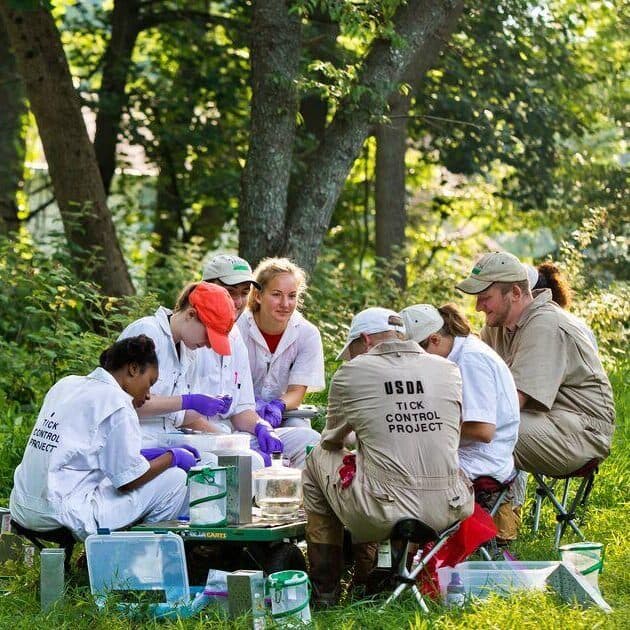 A group of people wearing white and beige jumpsuits and medical gloves sit outdoors beneath leafy, green trees