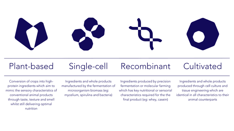 1 Alternative proteins overview infogram