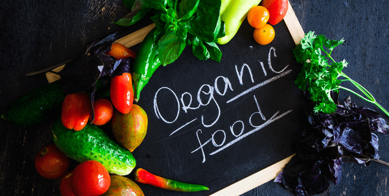Organic food 1070 540 px4