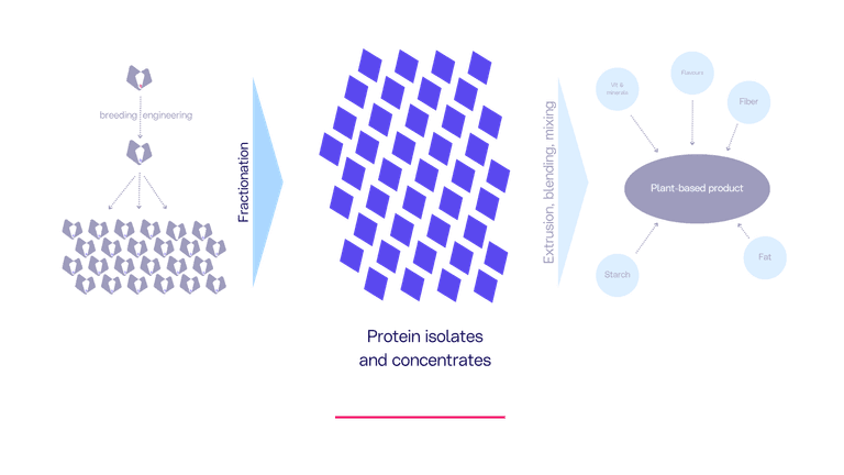 PB Focus Raw Materials