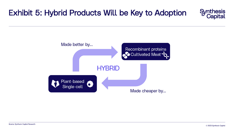 Synthesis Capital Adoption Pathway Diagrams Page 05