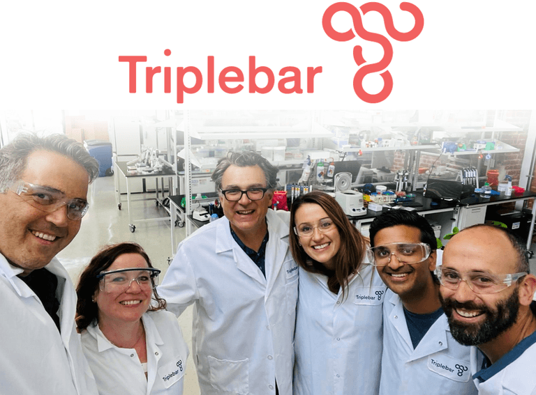 Triplebar and Synthesis team