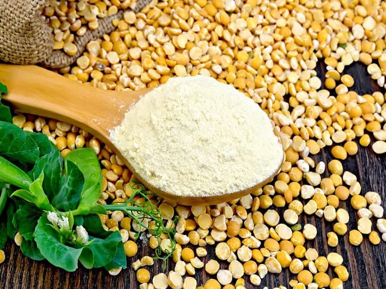 Equinom agt foods yellow pea protein p 1080