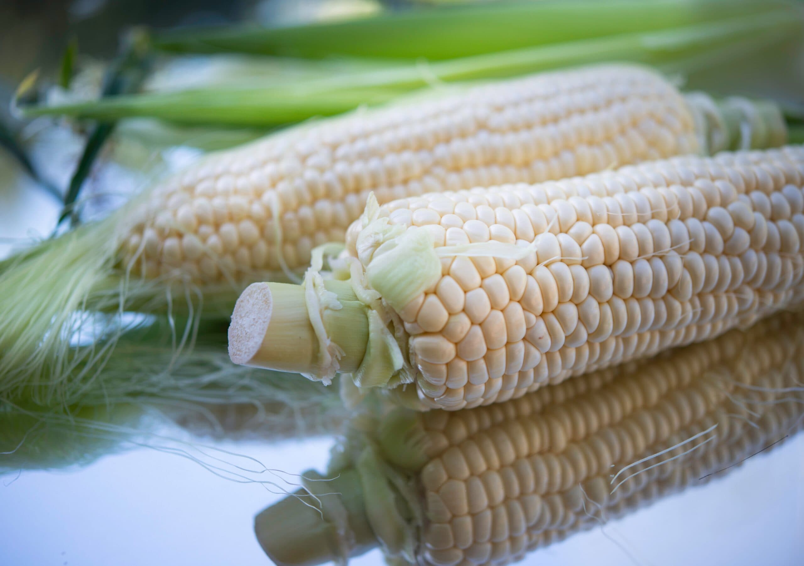 What Are The Challenges That You Can Probably Face When Beginning A Meals Enterprise In 2021?