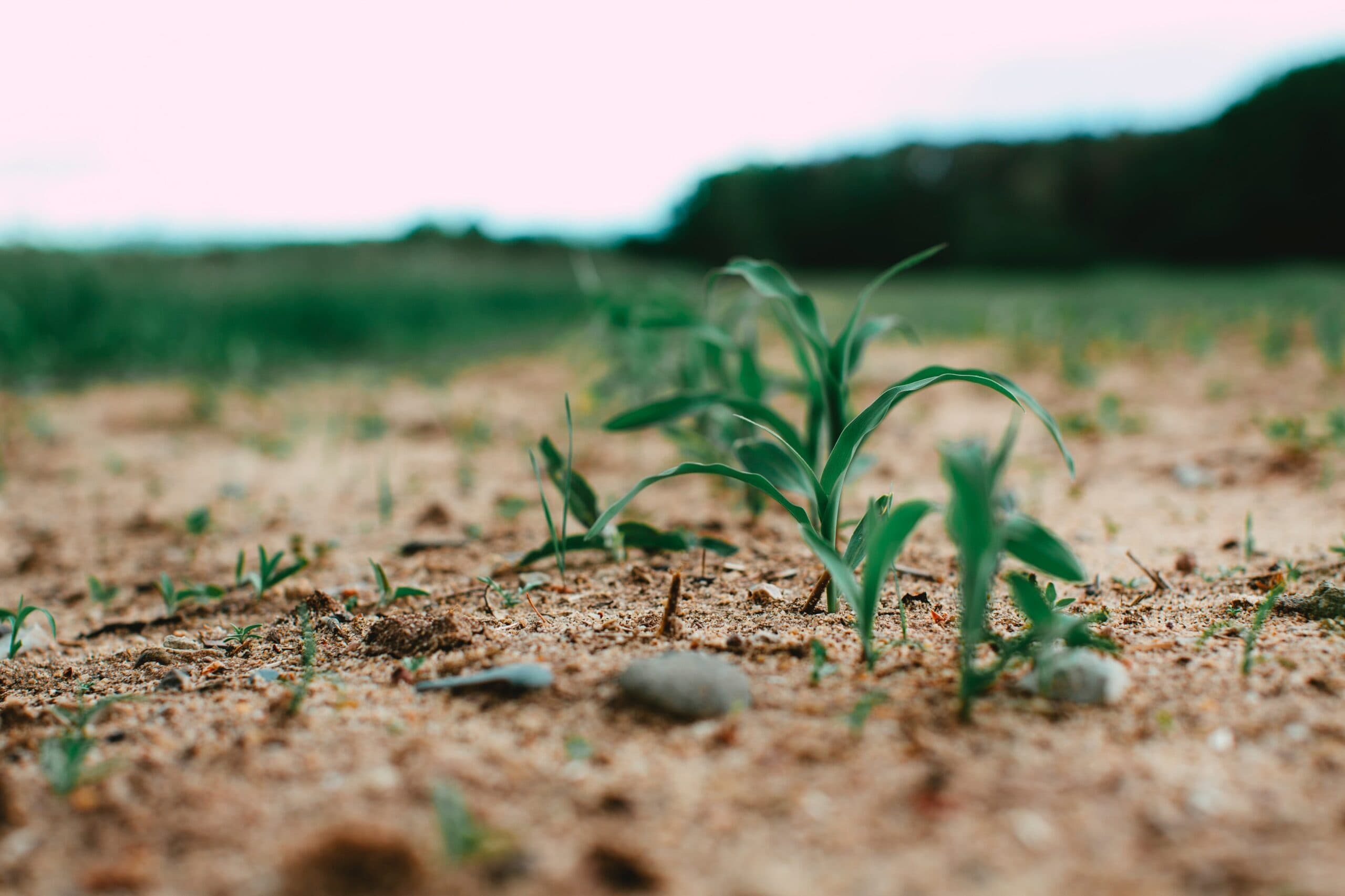 Predictions From An Agtech Investment Banking Guru