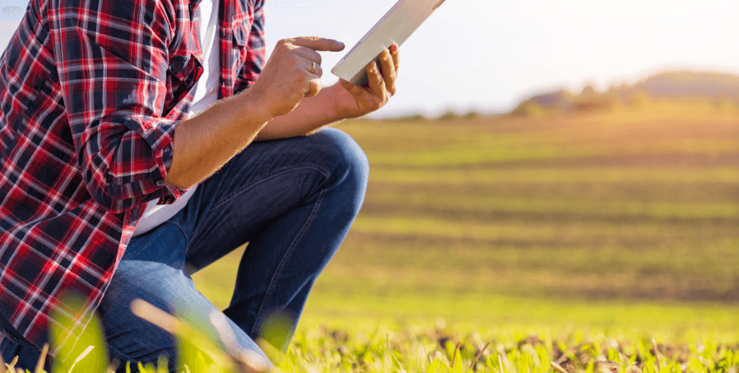 person kneeling in a field looking at a tablet