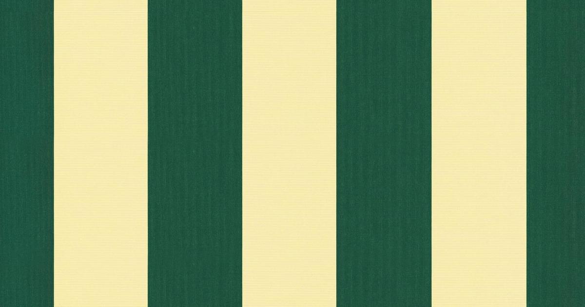 Markilux 970 Awning with 31316 Green Blockstripe… | Reynolds Blinds