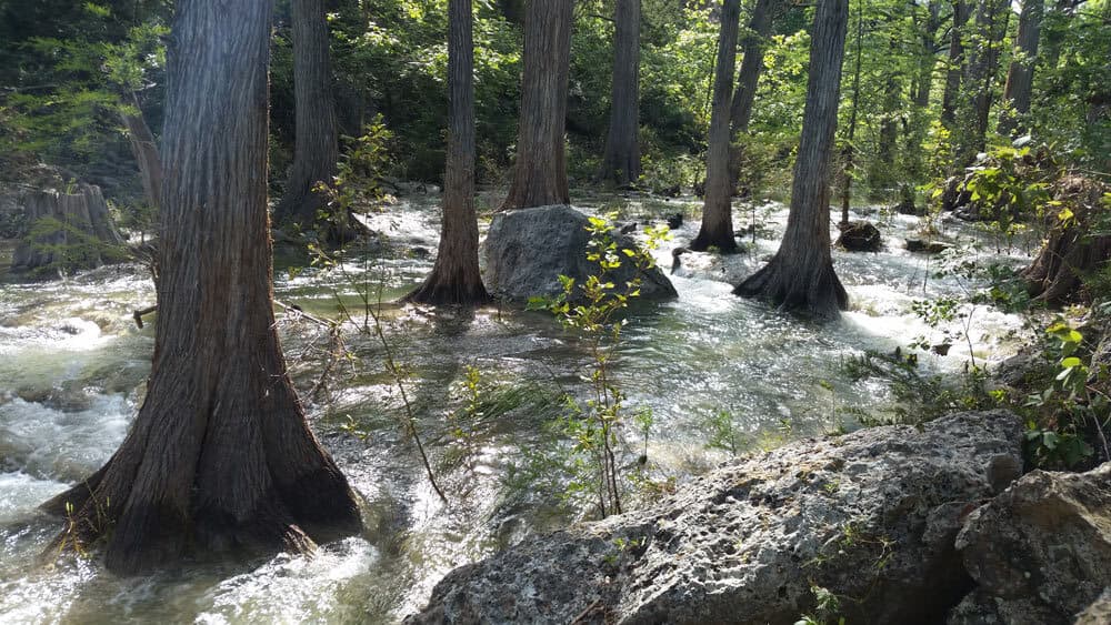 Hamilton Pool Preserve Michael Brewster