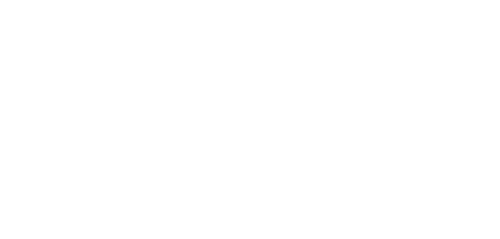 Client Logo Toyota White