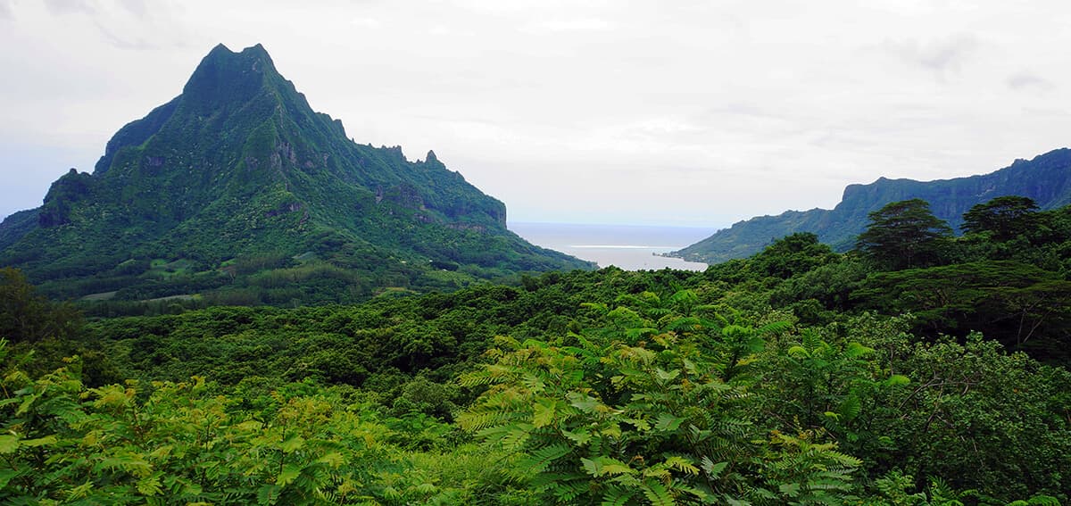 Tahiti mountains and lanscape