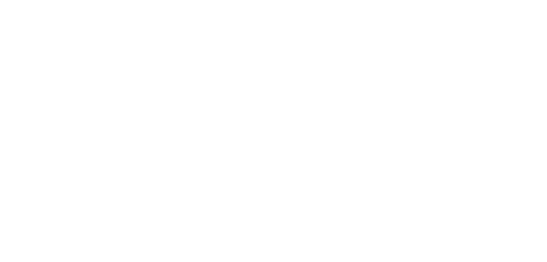 Logo white hyundai