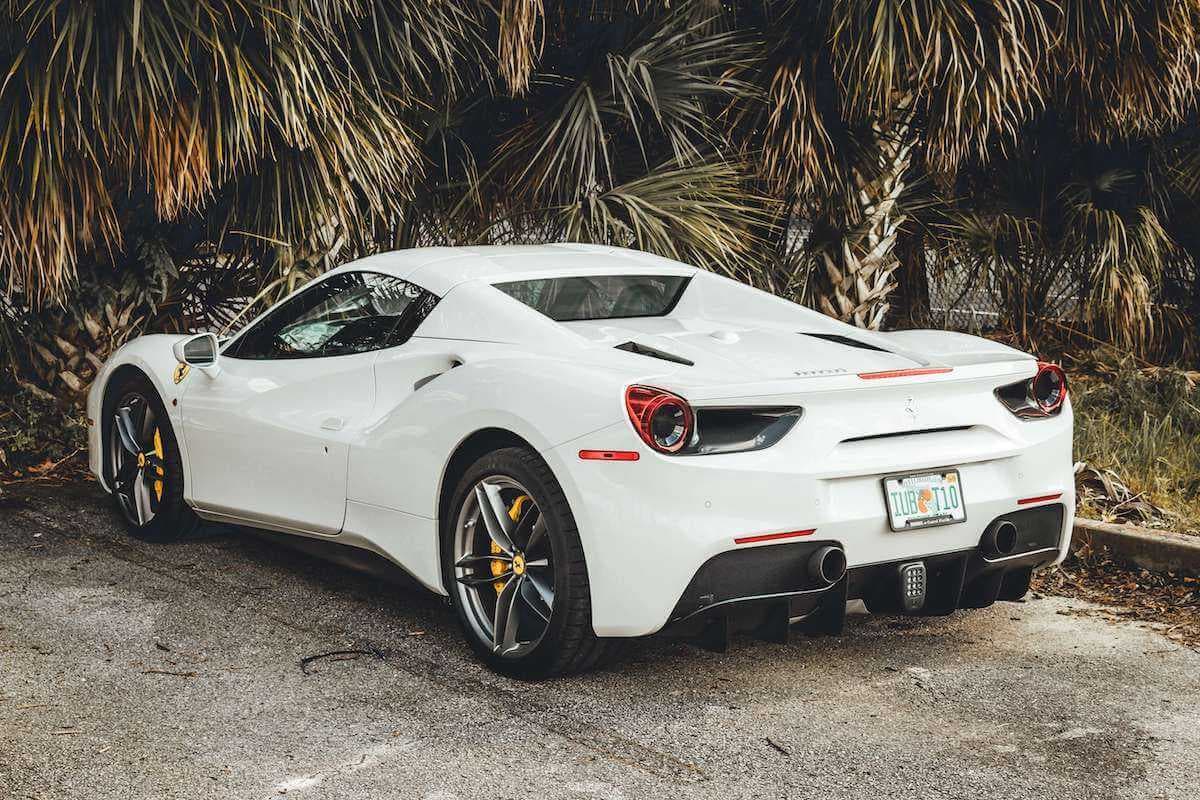 White Ferrari parked in front of palm trees