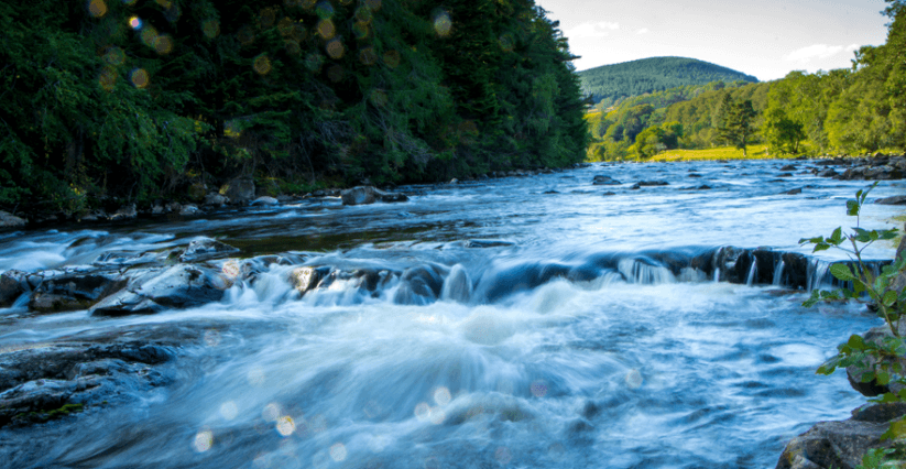 A view of a gentle water rapids in the caingorms