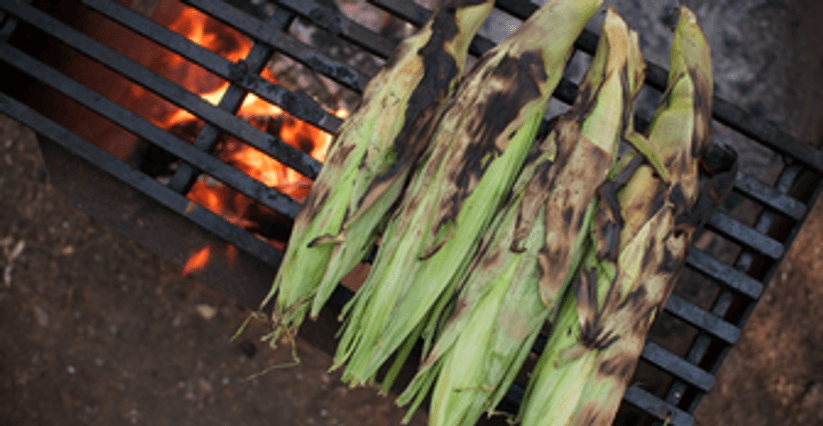 Corn on campfire
