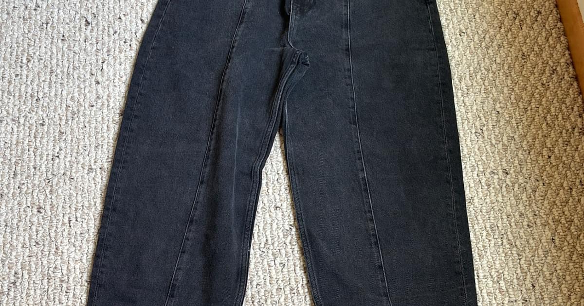 Reformation NWT kris relaxed curve seamed jean (29