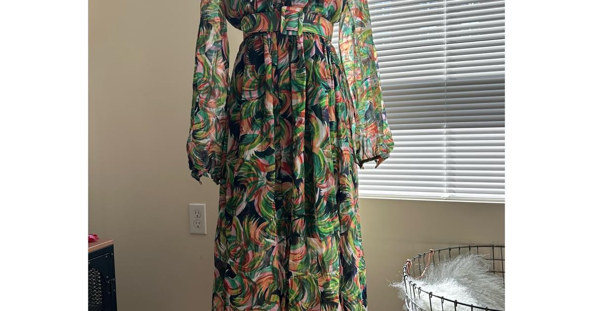 Saloni clearance raquel dress