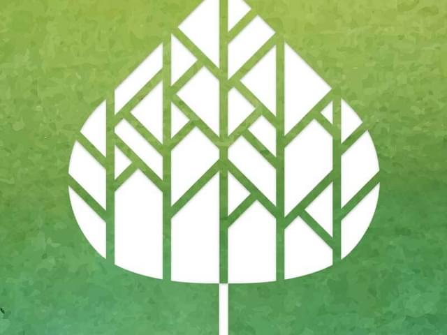 Aspen leaf 800x800