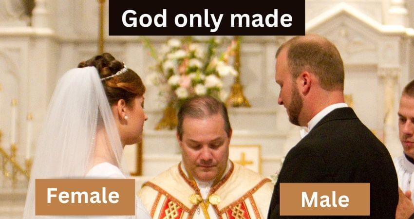 God created male and female.