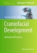 image of "Artificial scaffolds for use in craniofacial bone regeneration" in Methods in Molecular Biology: Craniofacial Development