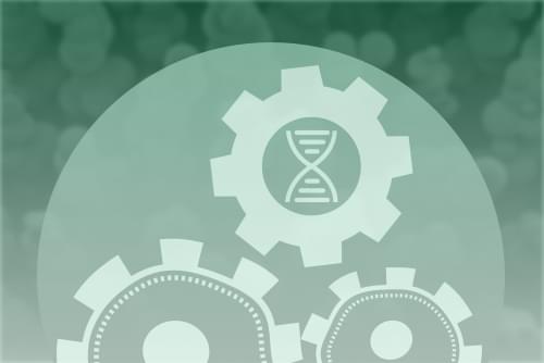 Biological and Chemical Engineering Biological and Chemical Engineering