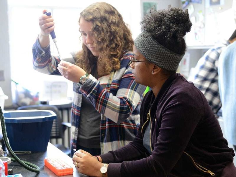 Two students perform research experiments at a lab bench.