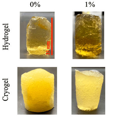 Hydrogels and cryogels arranged as a function of percent MH.