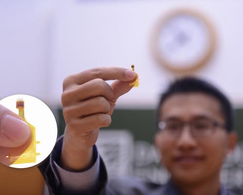 Professor Hui Fang holds up a tiny probe a little larger than the tip of a finger in his index finger and thumb