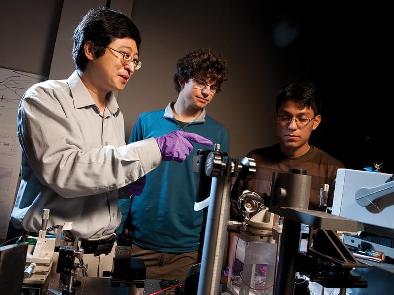 Professor Jifeng Liu works with students in his lab