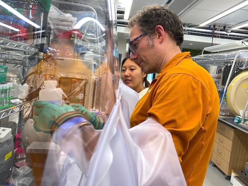 A professor and student work together in the cellulosic biofuels lab.