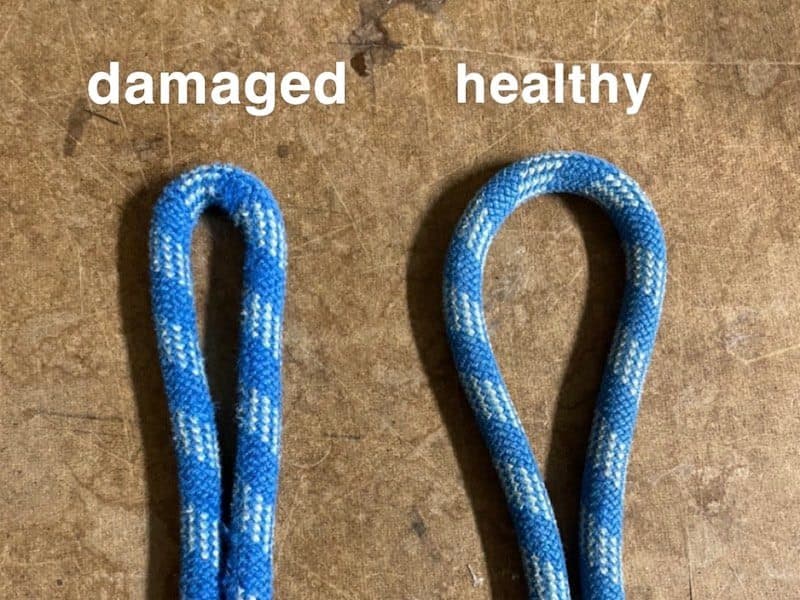 Climbing Rope Mildew Climbing Rope Damage Detector Wins Jackson… | Dartmouth Engineering