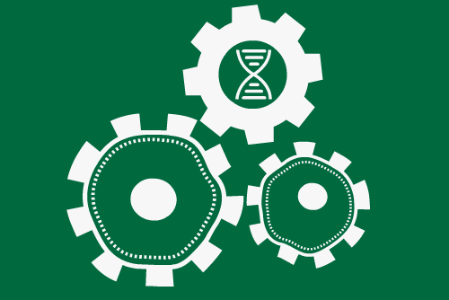 three gears each showing a cell or a DNA strand interlocking and spinning together