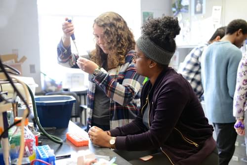 Two students work closely together at a lab station, portioning out liquid into a test tube