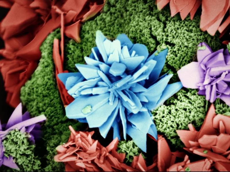 Calcium phosphoserine monohydrate crystals Calcium phosphoserine monohydrate crystals