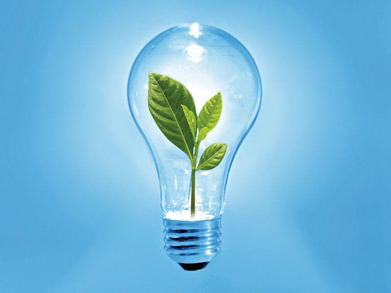 biofuels grant lightbulb