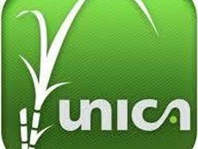 Unica Unica